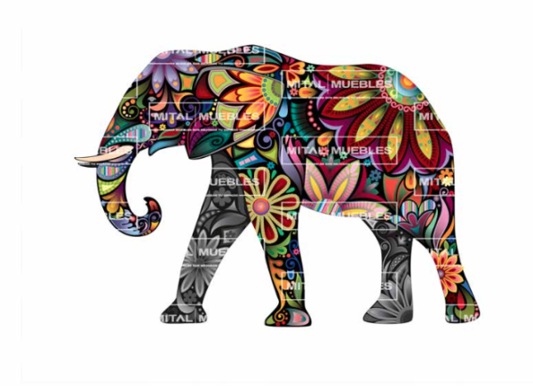 Cuadro Elefante